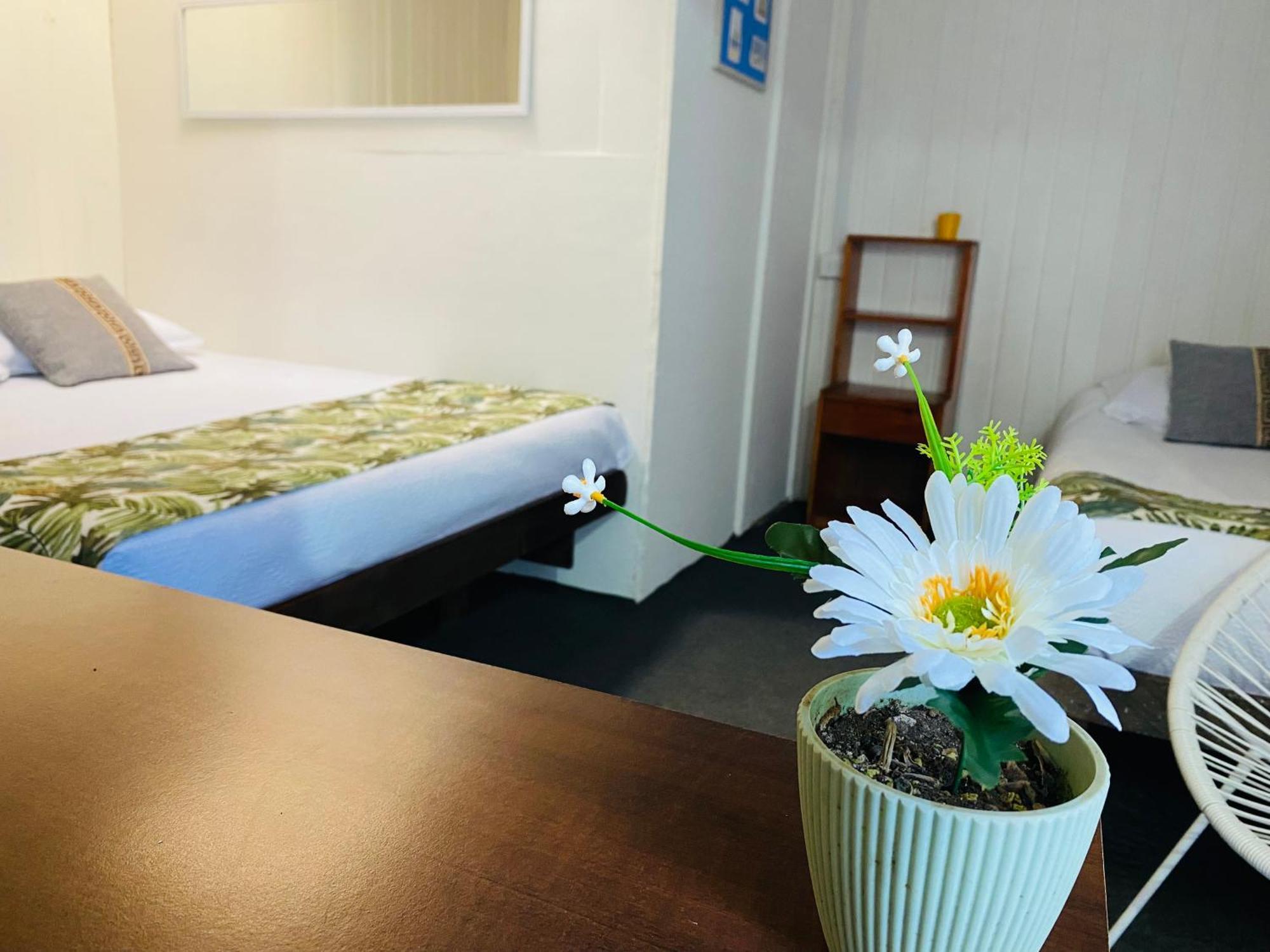 סן אנטוניו Hostal 3 Norte מראה חיצוני תמונה