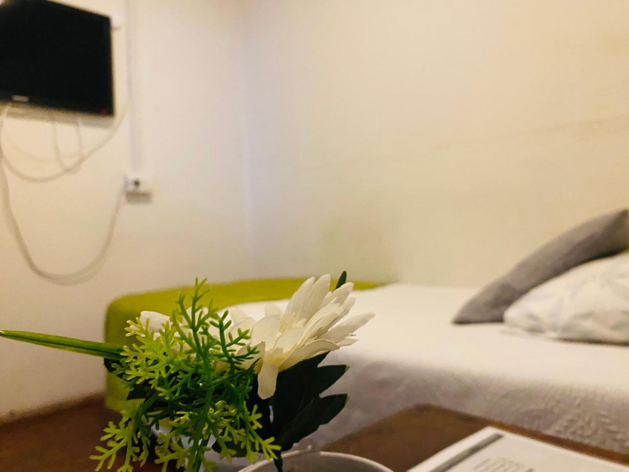 סן אנטוניו Hostal 3 Norte מראה חיצוני תמונה